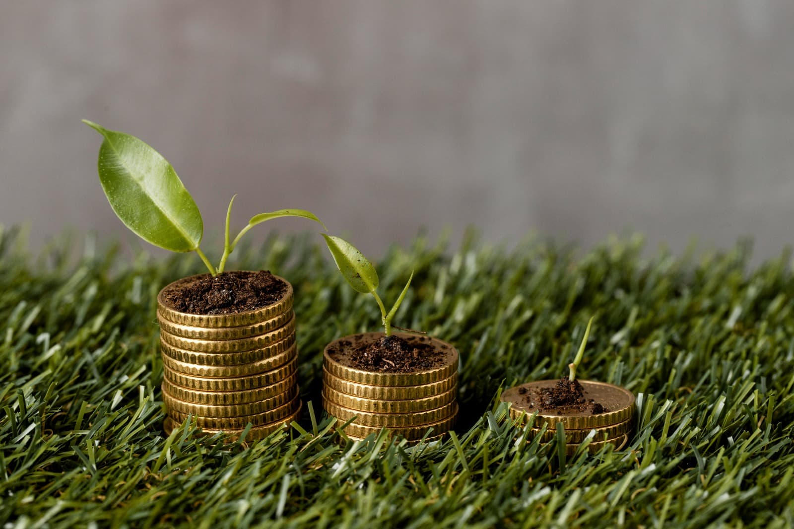 Coin stacks with growing plants — symbolising sustainable, ethical wealth growth